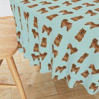 chow chow simple  dog breed fabric mint