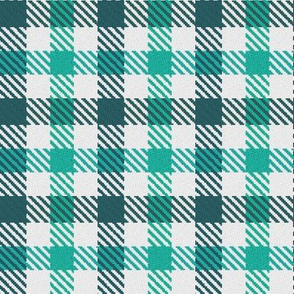 Two Color Gingham Teal and Turquoise