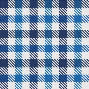 Two Color Gingham Navy and Royal Blue