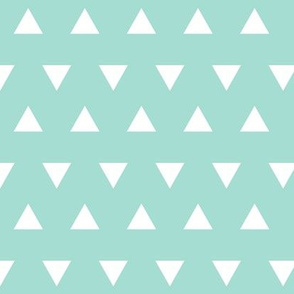 Triangles – Mint  + White Triangle Geometric Baby Kids