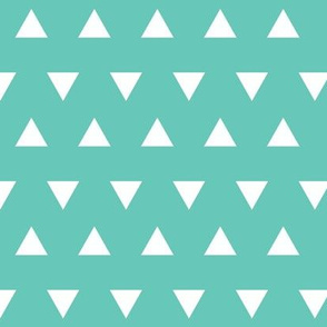 Triangles – Sea Green  + White Triangle Geometric Baby Kids