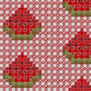 Watermelon Chickenscratch Gingham