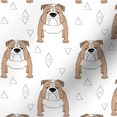 english bulldogs-with-triangles-on-white
