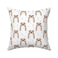 english bulldogs-with-triangles-on-white