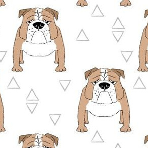 english bulldogs-with-triangles-on-white