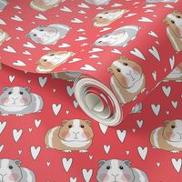 large guinea-pigs-and-hearts-on-red