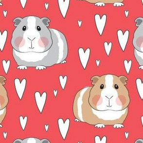 large guinea-pigs-and-hearts-on-red
