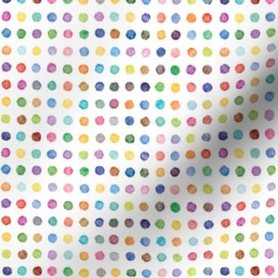 Painted dot candy, small, even