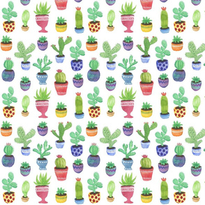 Watercolor Succulents + Cactus