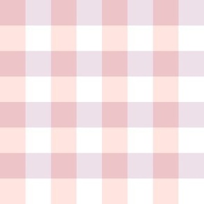 Plain Gingham 2 Tone Lilac and Peach