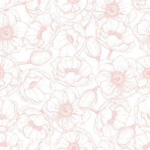 Pink anemone flowers drawing