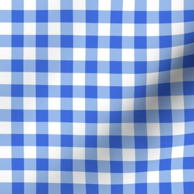 Stockholm Gingham Delfts Blauw