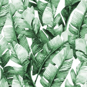 8" Tropical Banana Leaves // Green