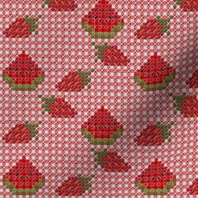 Strawberry and Watermelon Chickenscratch Gingham