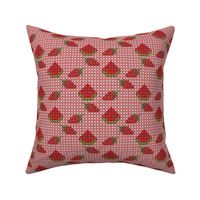 Strawberry and Watermelon Chickenscratch Gingham