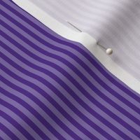 narrow stripes in royal purple