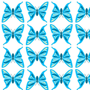beautiful blue butterflies