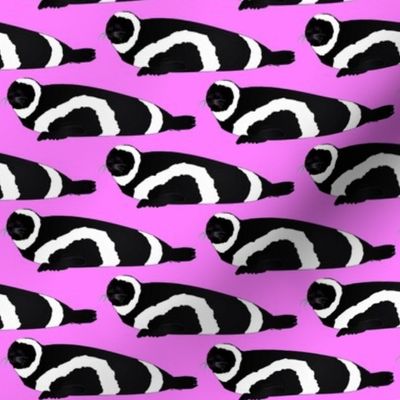 Ribbon Seal in pink