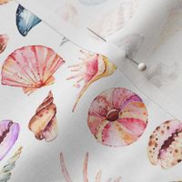 Watercolor Seashells 6"