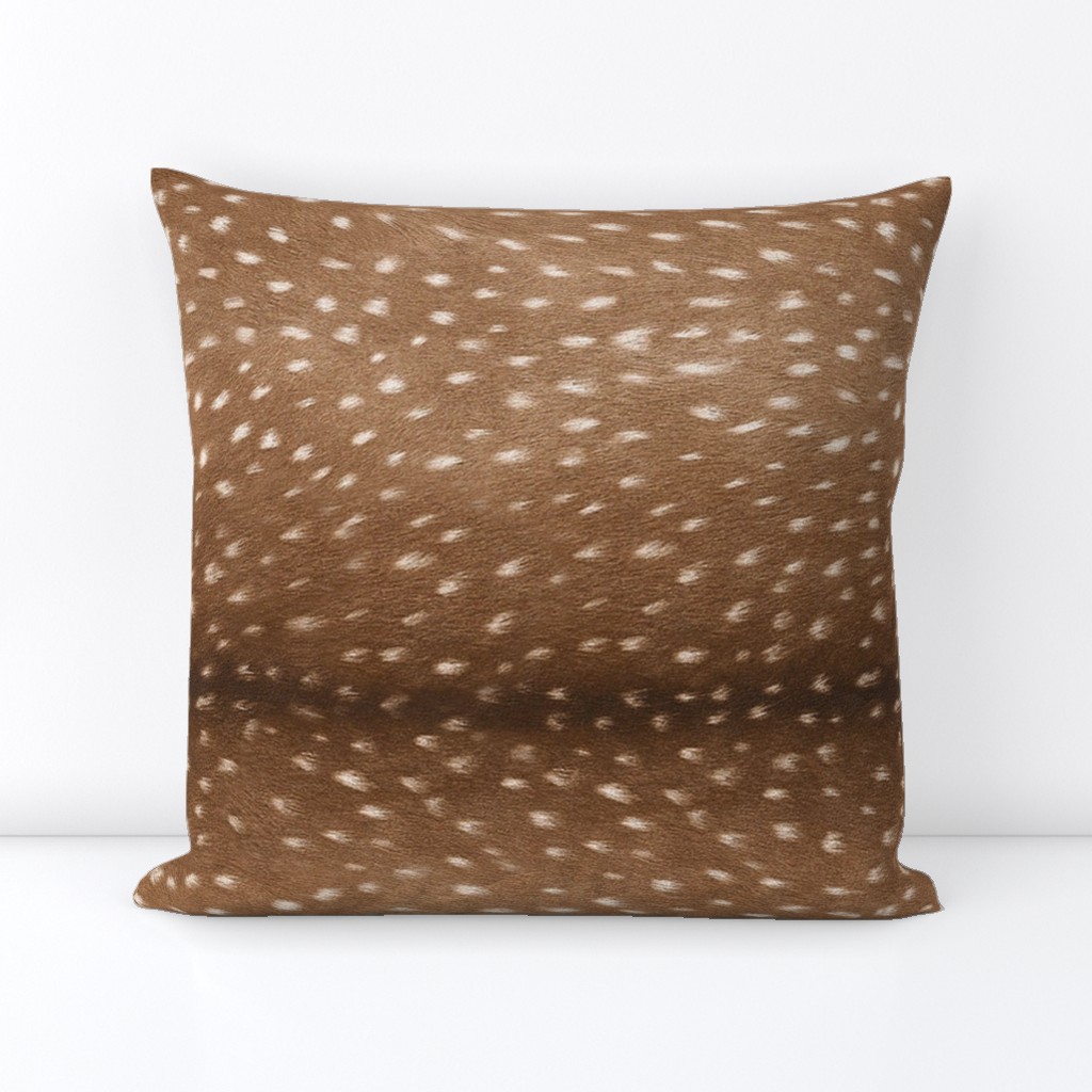 Deer Hide // Large // Horizontal