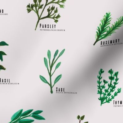 Kitchen Herbs