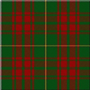 Bruce Hunting Tartan