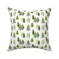 Pine Tree Forest - Woodland Trees SMALL SCALE C