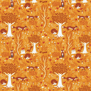 Foxes in the Orange Forest