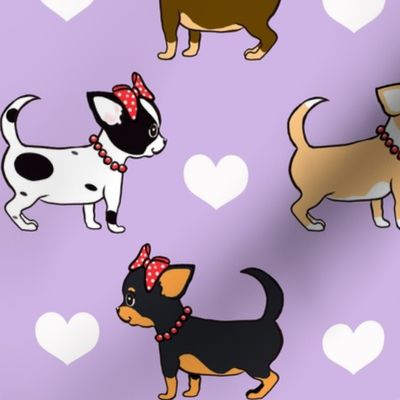 Chihuahuas Love lavander girls M