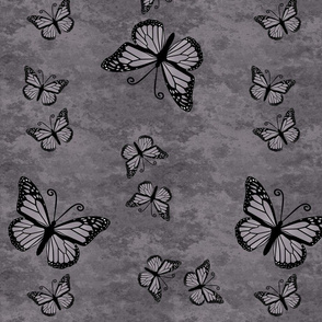 Monarch Butterflies on Gray Granite