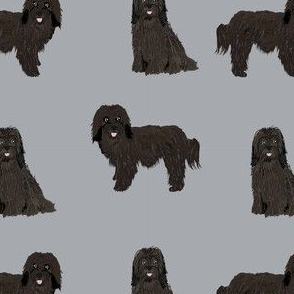 havanese black coat dog breed fabric grey