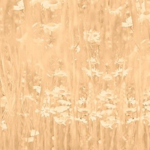 Romance Daisies, golden wheat