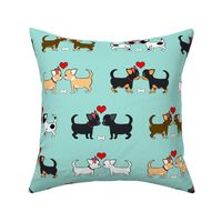 Chihuahuas Love Couples aqua M