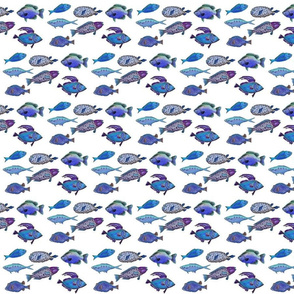 Fish white background