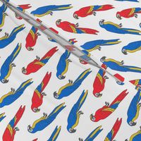 macaw // tropical jungle bird parrot animal fabric red blue