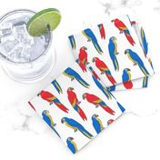 macaw // tropical jungle bird parrot animal fabric red blue