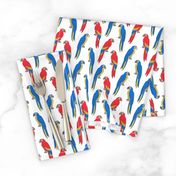 macaw // tropical jungle bird parrot animal fabric red blue