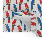 macaw // tropical jungle bird parrot animal fabric red blue