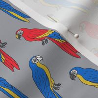 macaw // tropical jungle bird parrot animal fabric grey