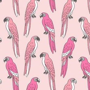 macaw // tropical jungle bird parrot animal fabric pinks