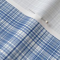 Plaid 1 in Blues and White