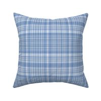 Plaid 1 in Blues and White