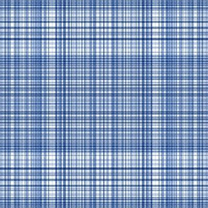 Plaid 2 in Blues and White