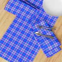 Purple Blue Plaid Gingham Check