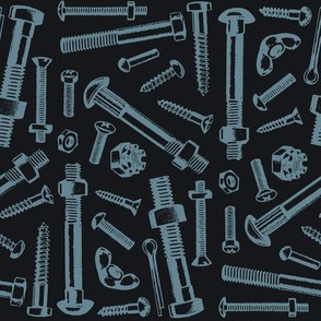 Nuts, Bolts and Screws 1c