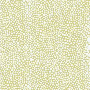 Large Shagreen in Pale Chartreuse