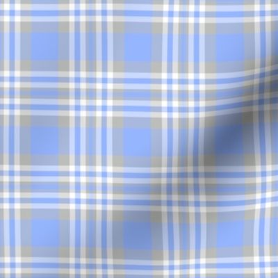 Blue Gray Grey Plaid Gingham Check