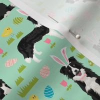 border collie spring fabric easter - mixed coats easter egg hunt, pastel, spring dogs - mint