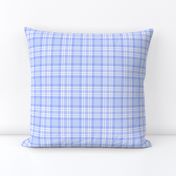 Blue Plaid Gingham Check 