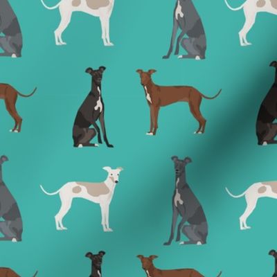 italian greyhound simple  dog breed fabric turquoise